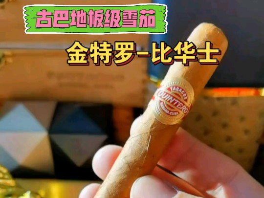 古巴地板茄评测金特罗比华士哔哩哔哩bilibili