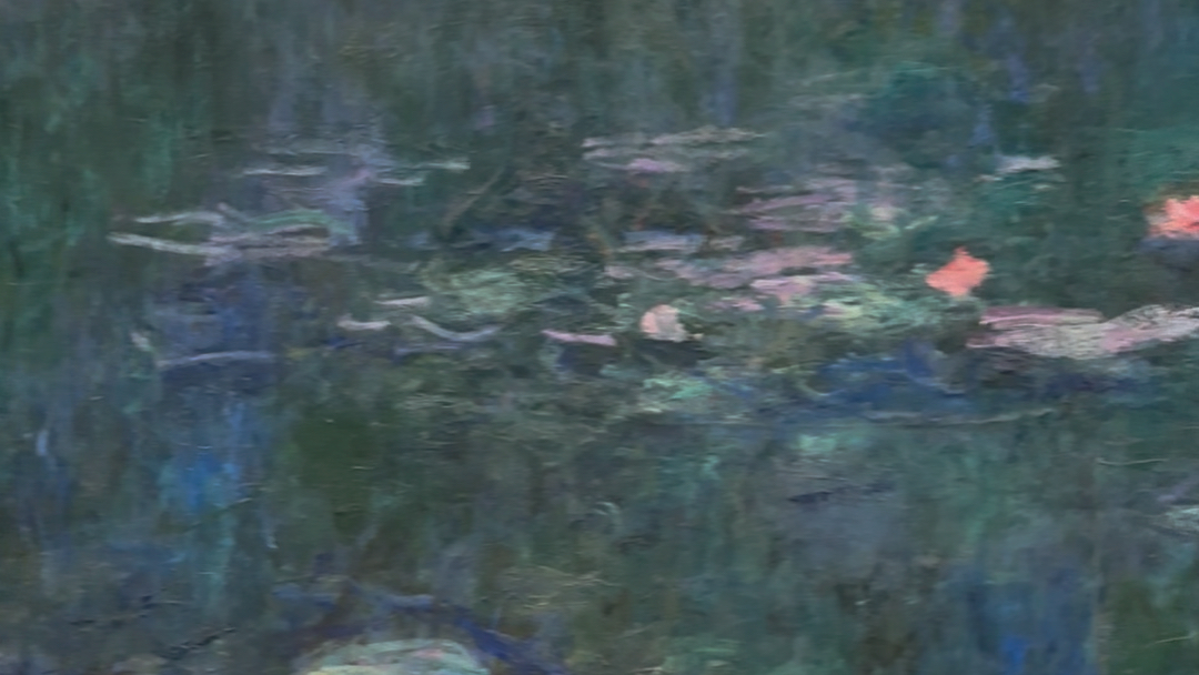 巴黎-橘园美术馆(睡莲)1