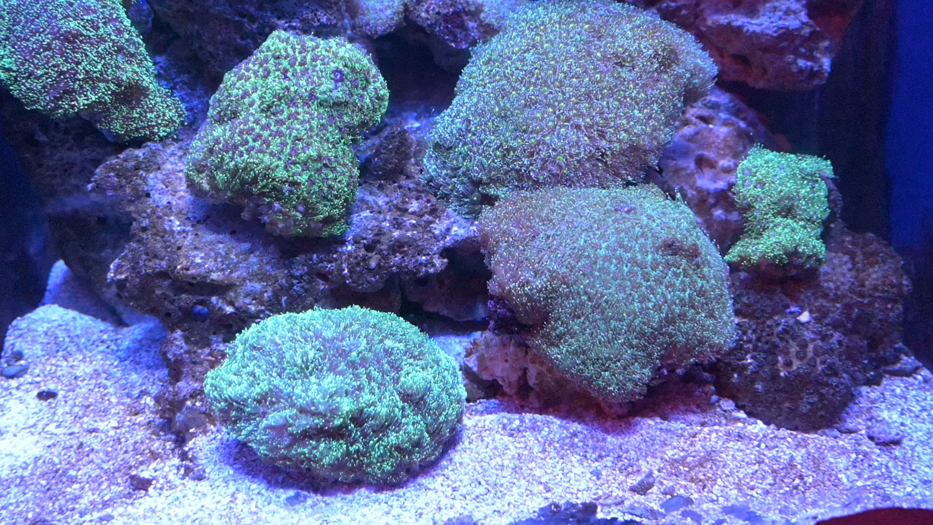广西北海海底世界