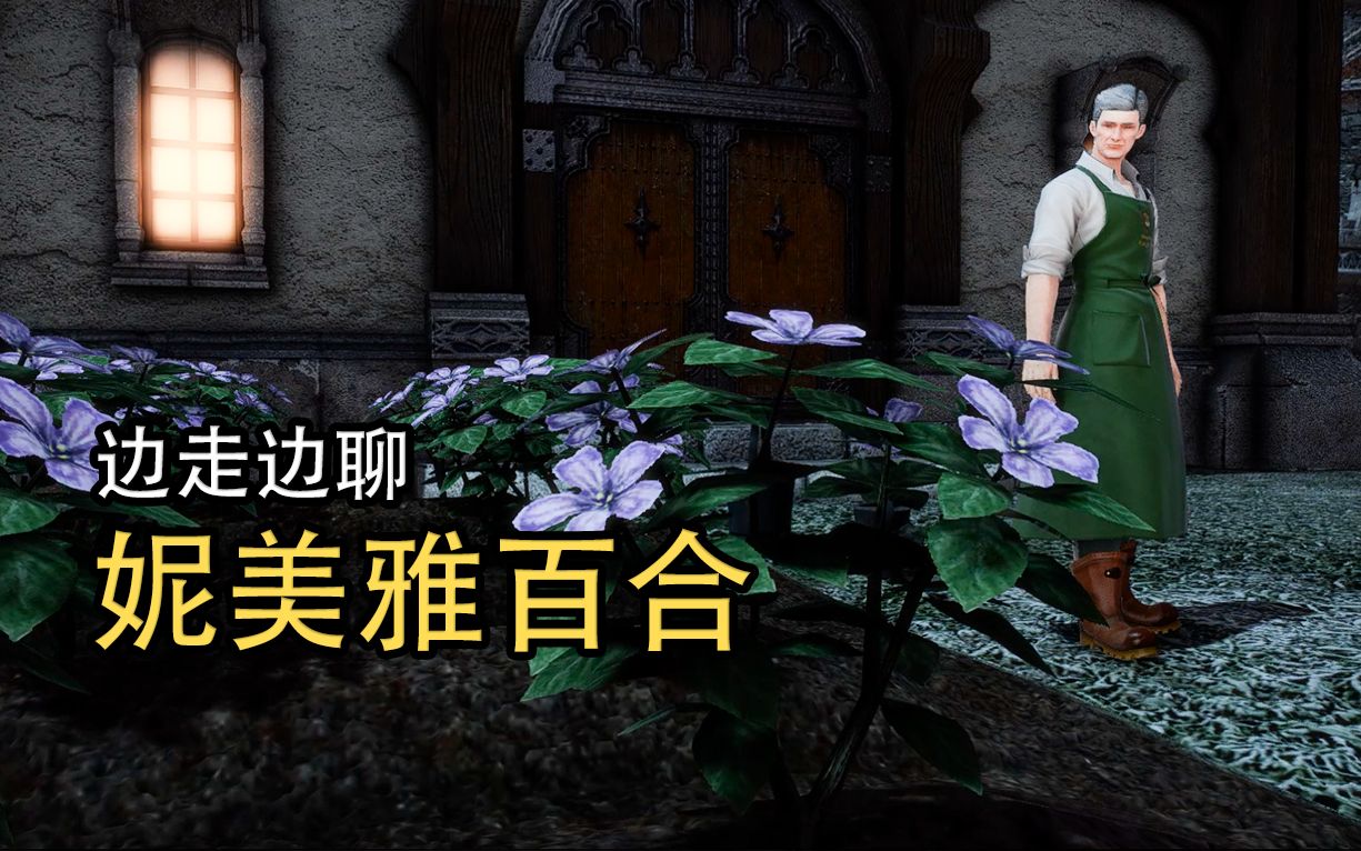 活动作品ff14边走边聊妮美雅百合