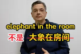 Download Video: 【英音｜日常口语】老外常说的“elephant in the room”不是“大象在房间里”哦！到底什么意思跟我学起来～