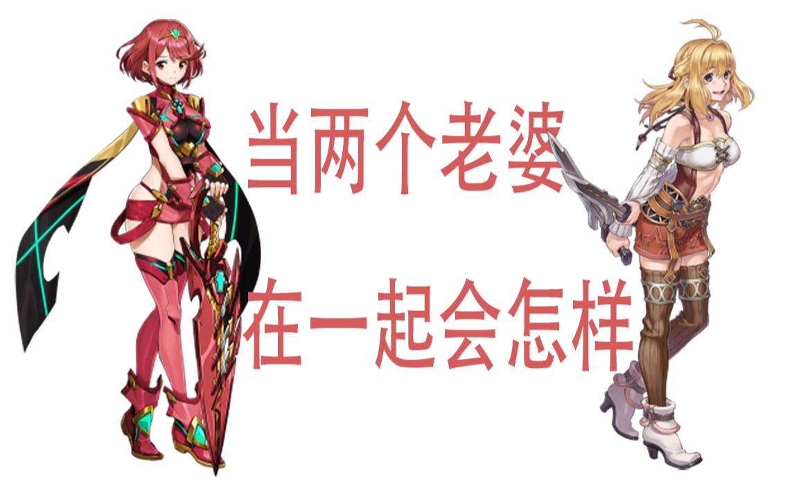 异度之刃2 焰+菲奥伦 虐杀130级BOSS_哔哩哔哩_bilibili