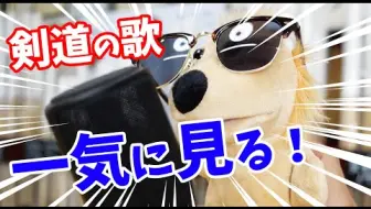 剣道kendo てっとり早く 力を抜く にはアレだよ 百秀武道具店hyakusyu Kendo 哔哩哔哩 Bilibili