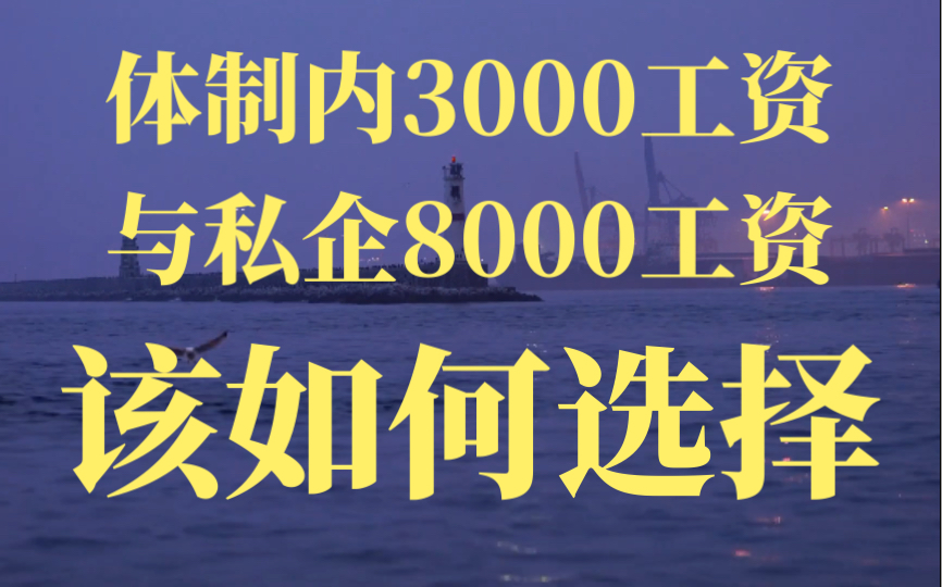 考公必看:体制内3000工资与私企8000如何选择?哔哩哔哩bilibili