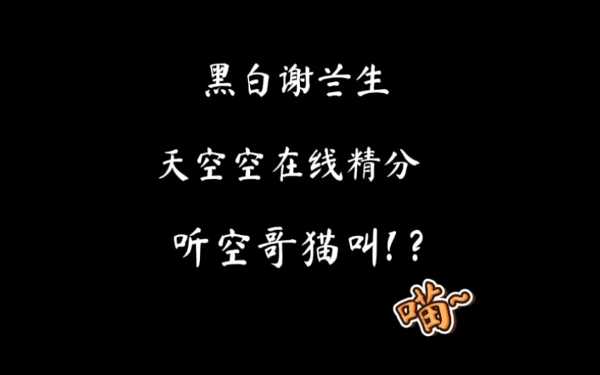 【独立电影人】空哥在线精分~这只猫咪究竟是谁呀~哔哩哔哩bilibili