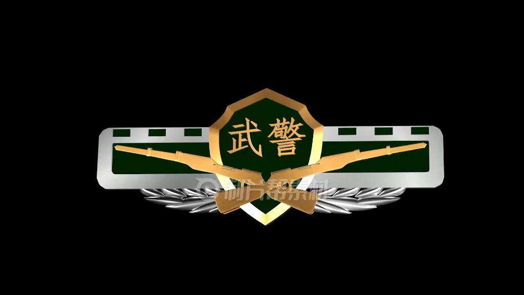 武警标志透明通道循环视频