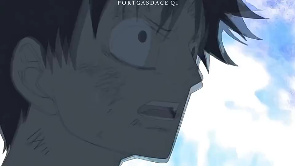 我的艾斯～呜呜呜