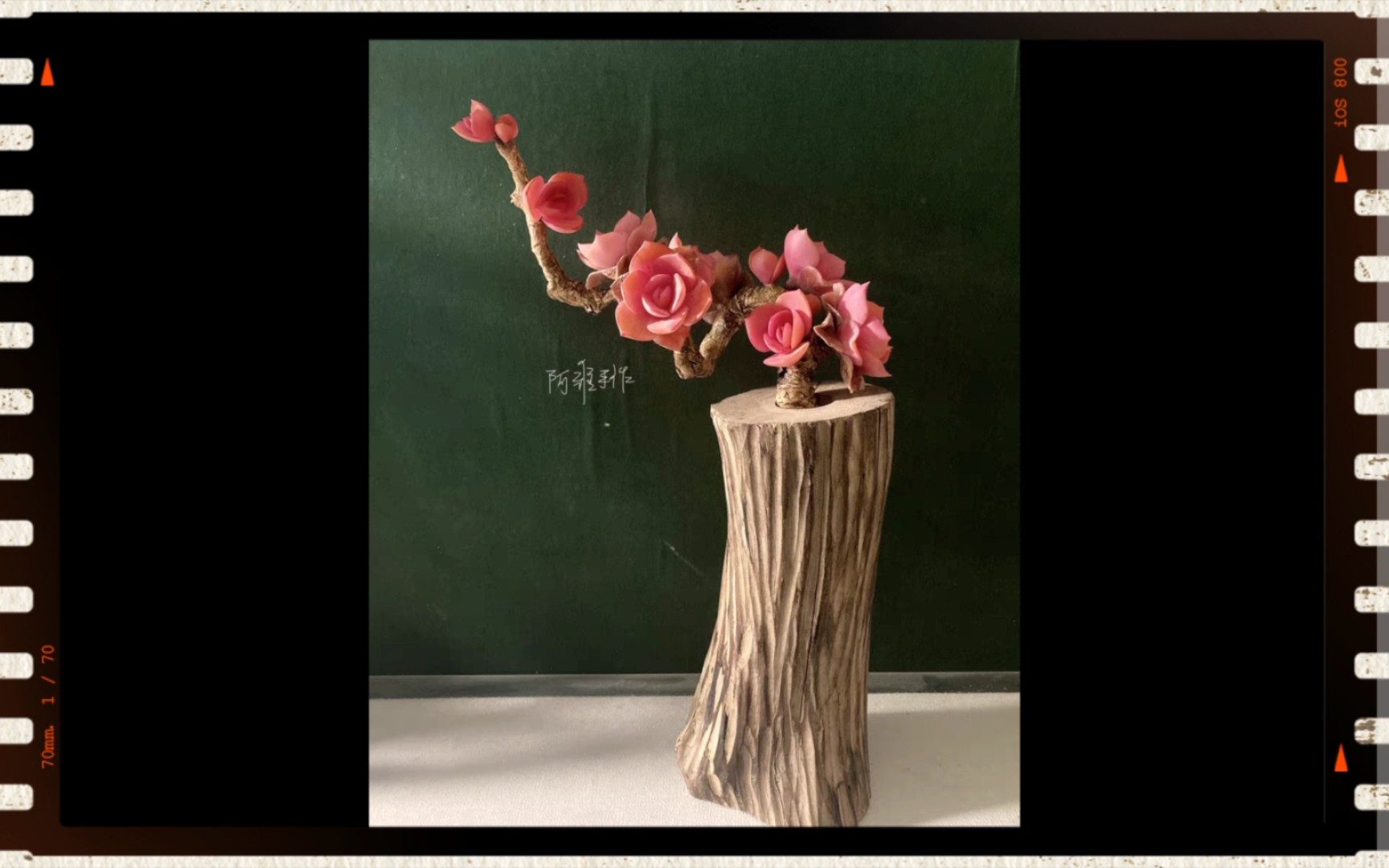 自制干花花瓶,手工diy,最最最简单方便的懒人自制花器,树是朋友菜地撸