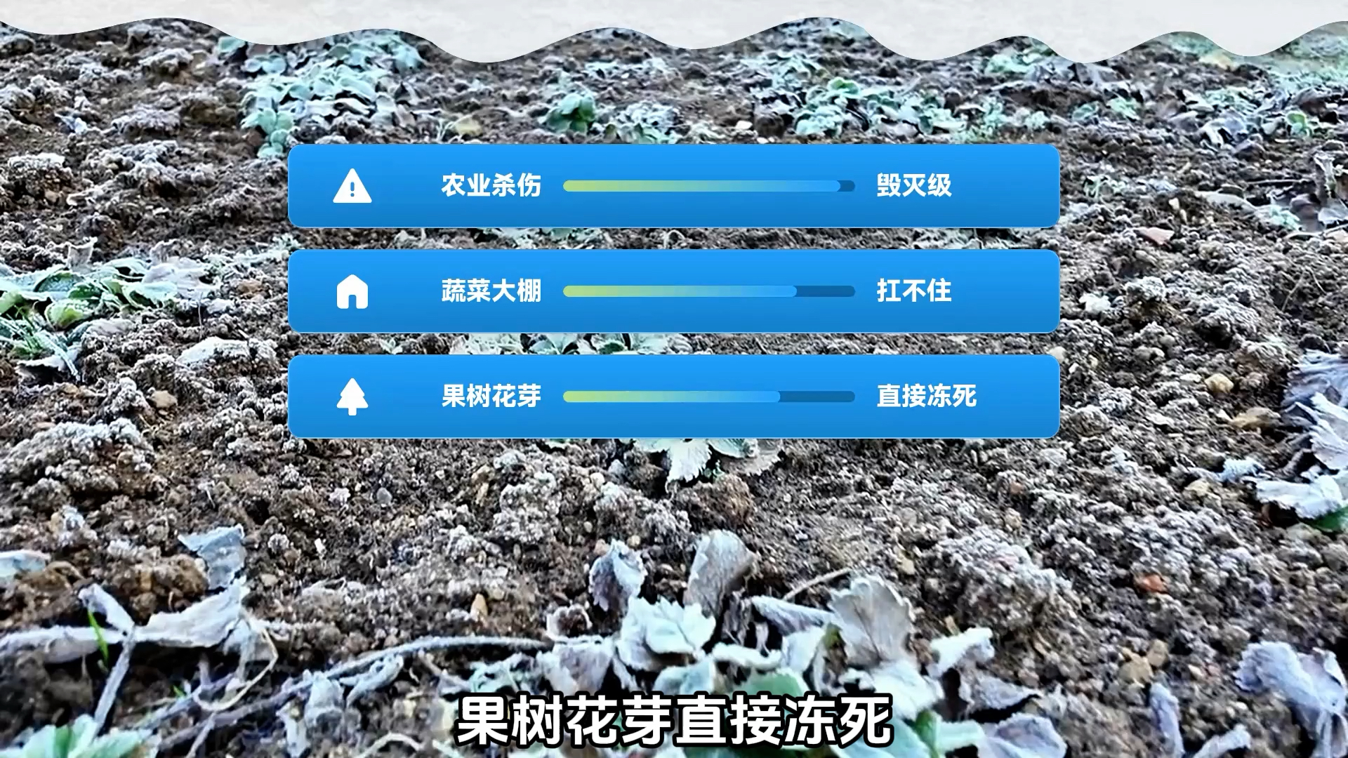 10 月降温只是开胃菜！11 月厄尔尼诺迎来峰值，真正考验才刚刚开始