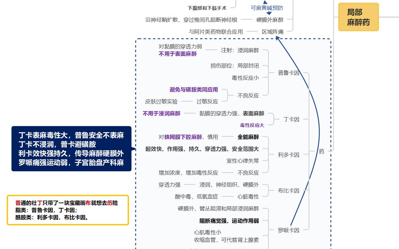 study药理学思维导图局部麻醉药竹屿
