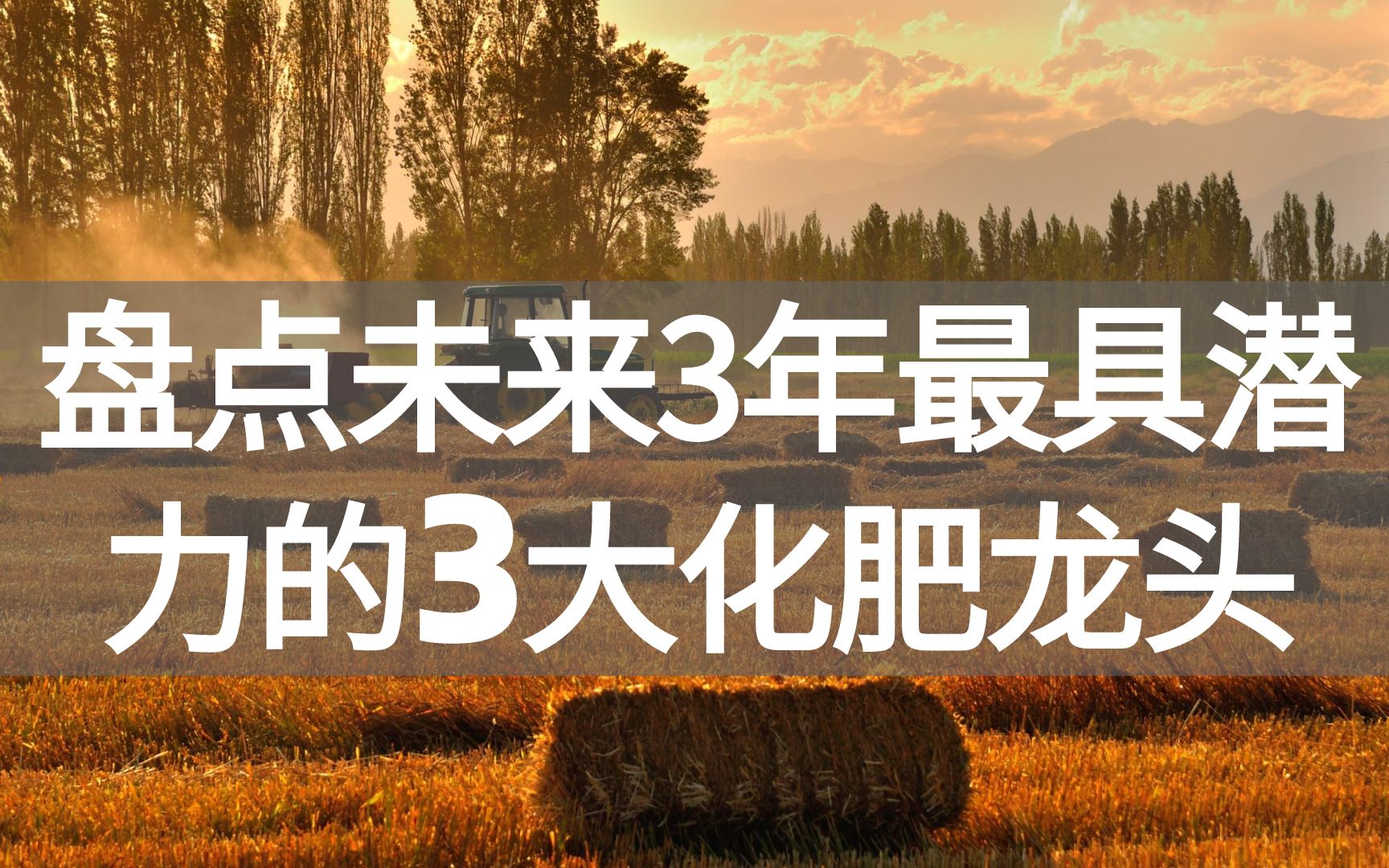 盘点未来3年最具潜力的3大化肥龙头,中国高端化肥征服全世界!哔哩哔哩bilibili