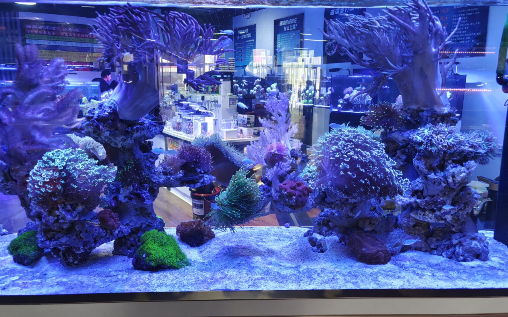 北京最大的水族花鸟市场-雅园国际—养鱼人的天堂