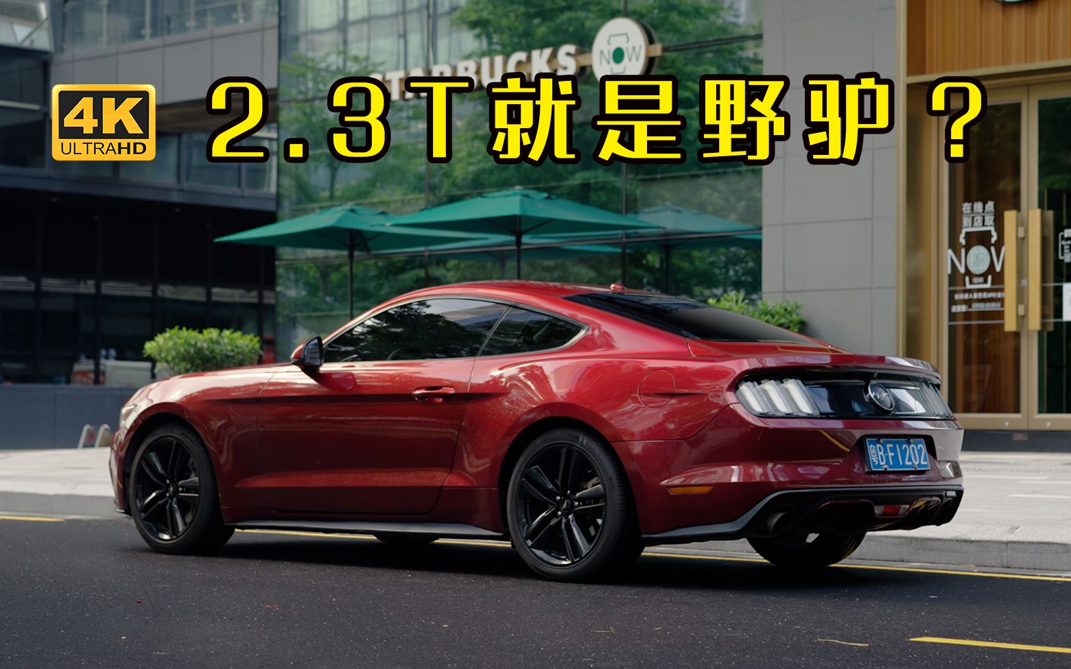 明明2.3T,为啥叫他野驴?| 福特野马 Mustang哔哩哔哩bilibili