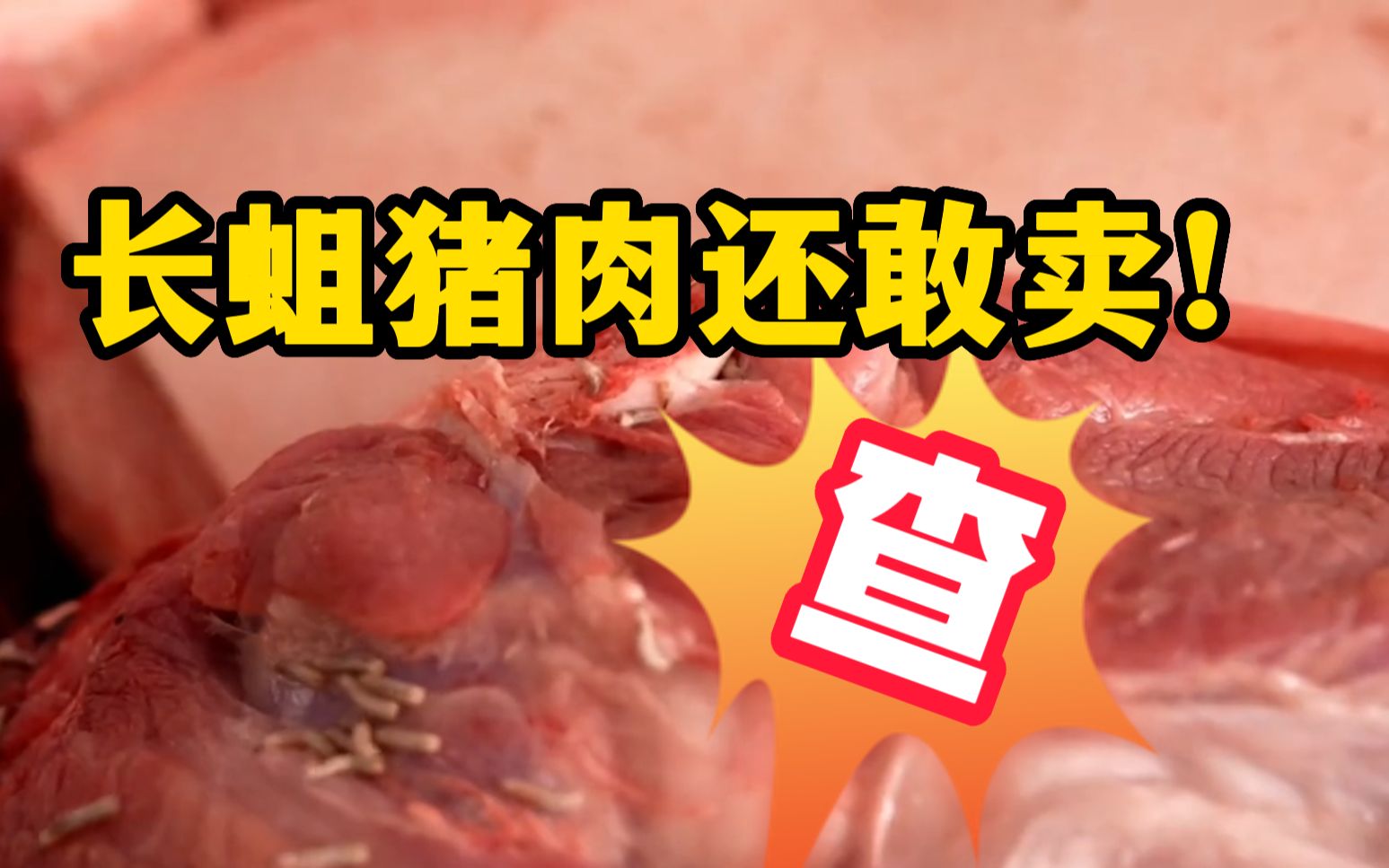 小孩慎看!长蛆猪肉还敢卖,查!哔哩哔哩bilibili