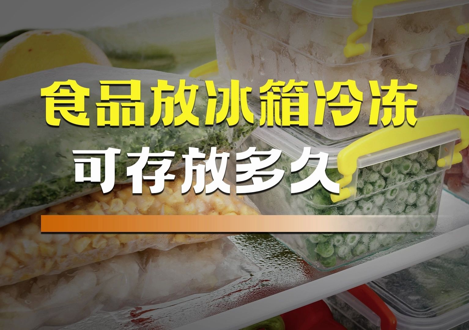 【正经科普】食品放冰箱冷冻可存放多久?哔哩哔哩bilibili