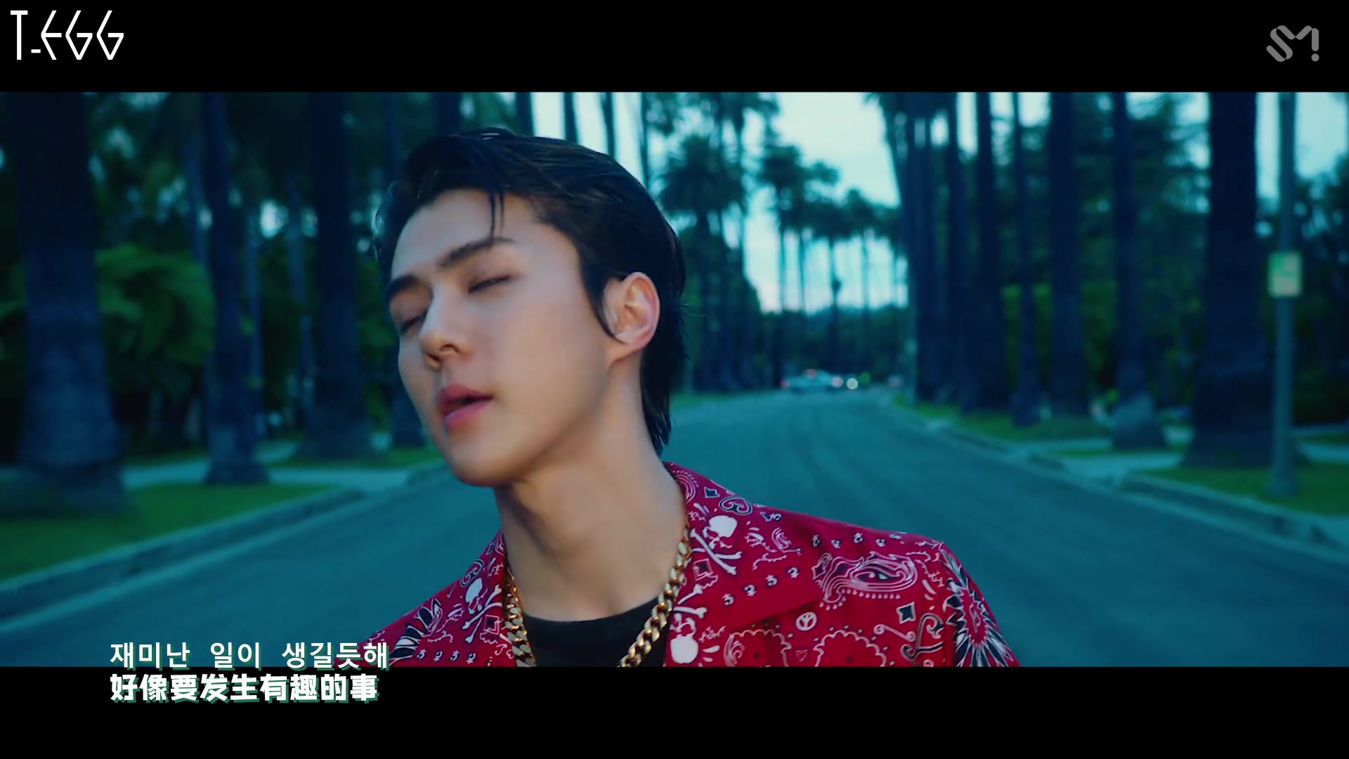 [图]【TE】190721 EXO-SC 《What A Life》MV 1080P 中字