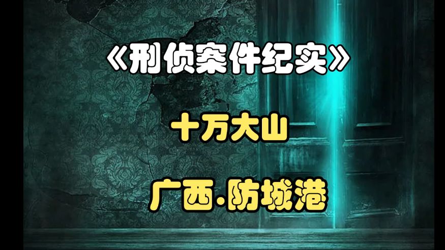 9月5日 广西.防城港五死一伤案哔哩哔哩bilibili