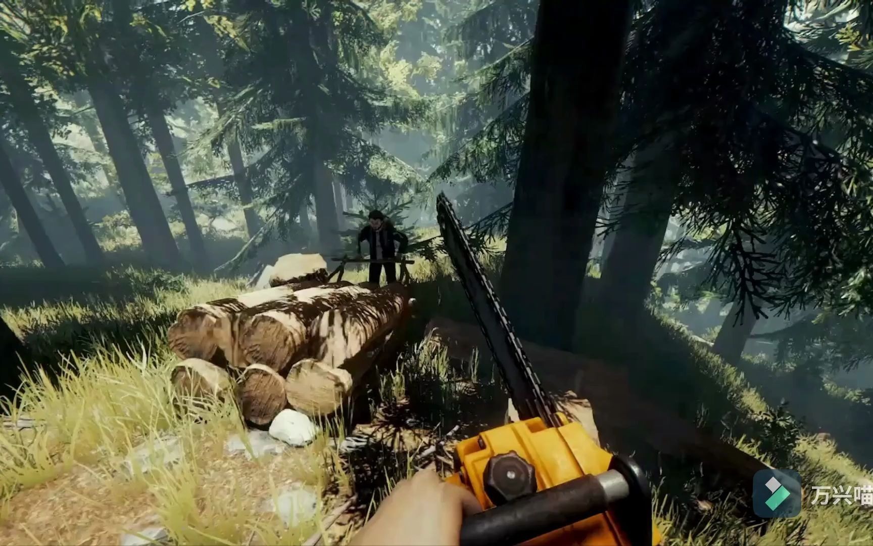 免费白嫖迷失森林steam正版账号啦