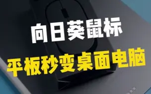 Download Video: iPad Pro居然可以用微软Windows系统！！！#ipad #向日葵远程控制 #涨知识 #苹果