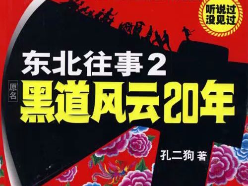 东北往事之黑道风云20年第二部008哔哩哔哩bilibili