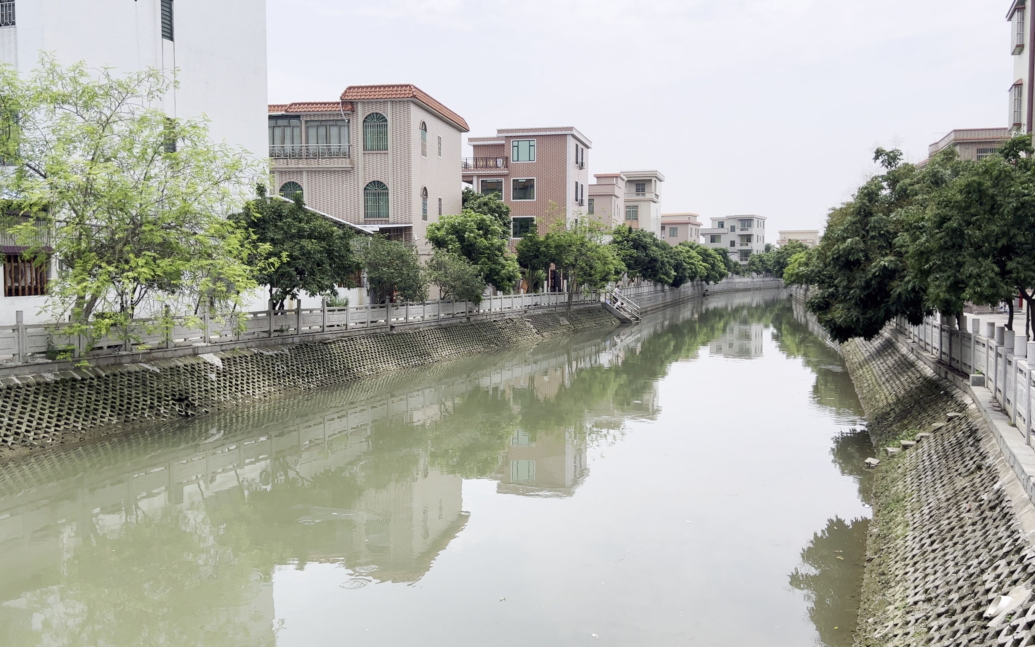 广州市番禺区草河区级湿地公园游记vlog1