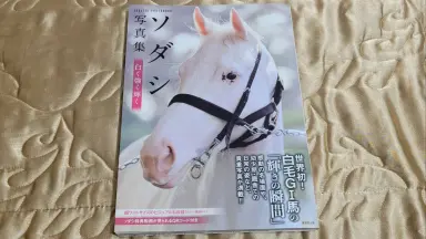 日本写真书-哔哩哔哩_Bilibili