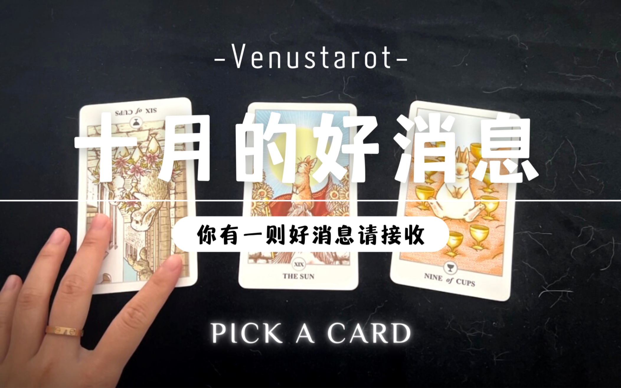 【venus塔罗】十月的好消息-饼干是只海棠兔-默认收藏夹-哔哩哔哩视频