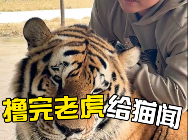 下次安排你们见一面吧！