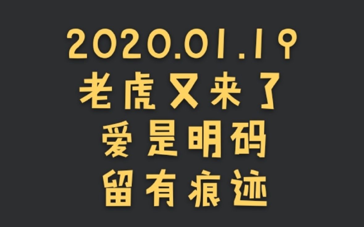 【博君一肖】1.19老虎又来了 | 爱是明码,留有痕迹 |《心动》哔哩哔哩bilibili