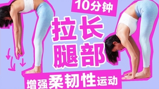 10分钟美腿拉伸运动 变直变长 改善腿型 周六野zoey 哔哩哔哩 つロ干杯 Bilibili