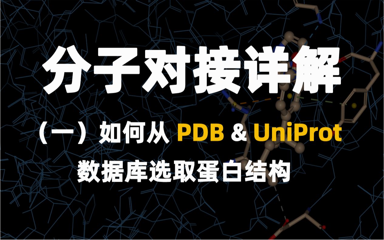 Ⅰ.【分子对接详解】如何从 PDB & UniProt 数据库选取蛋白结构 - 哔哩哔哩