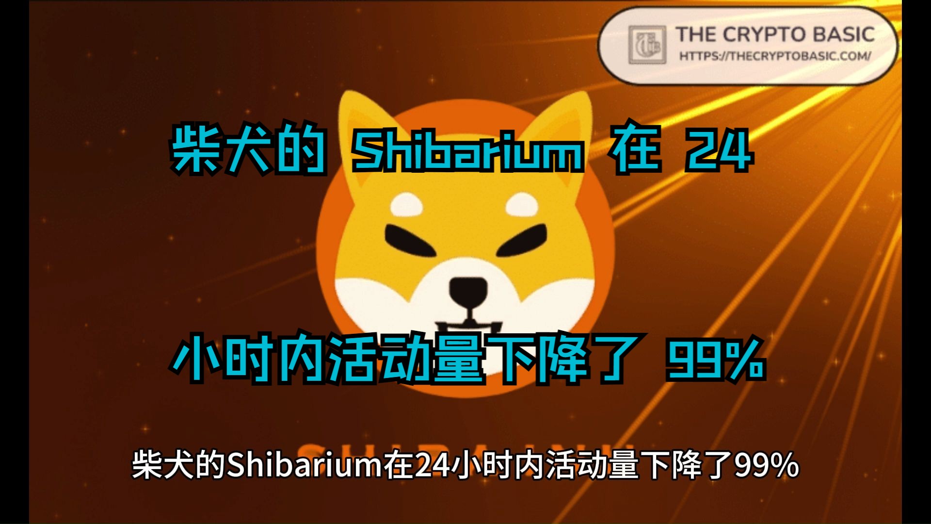 柴犬的 Shibarium 在 24 小时内活动量下降了 99%哔哩哔哩bilibili