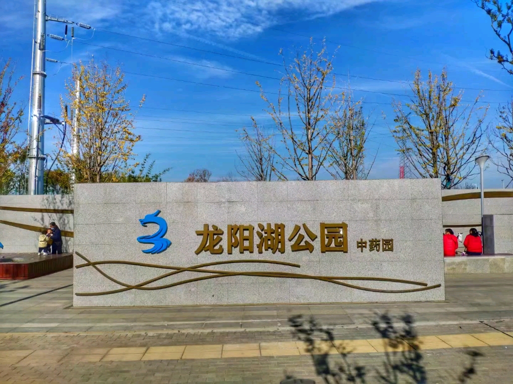 武汉龙阳湖公园中药园