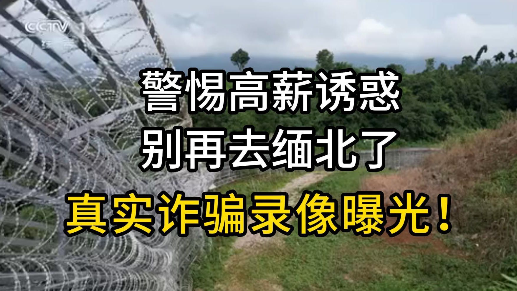 警惕高薪诱惑,别在去缅北了!缅北网络诈骗真实录像曝光!哔哩哔哩bilibili