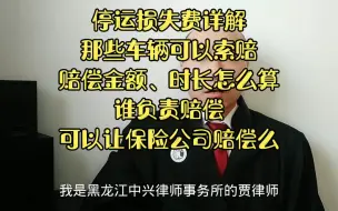 Descargar video: 停运损失费详解。那些车辆可以索赔，赔偿金额、时长怎么算，谁负责赔偿，可以要求保险公司赔么？