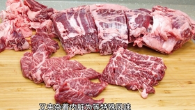 烤肉第一部位 横膈膜系列 所有产区的横膈膜切分我都完成啦 除了南美牛haha 而漂亮国的横膈膜还有一种做法炖煮真的有惊喜 哔哩哔哩