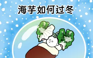 Video herunterladen: 海芋过冬｜非供暖地区保命方法有3种