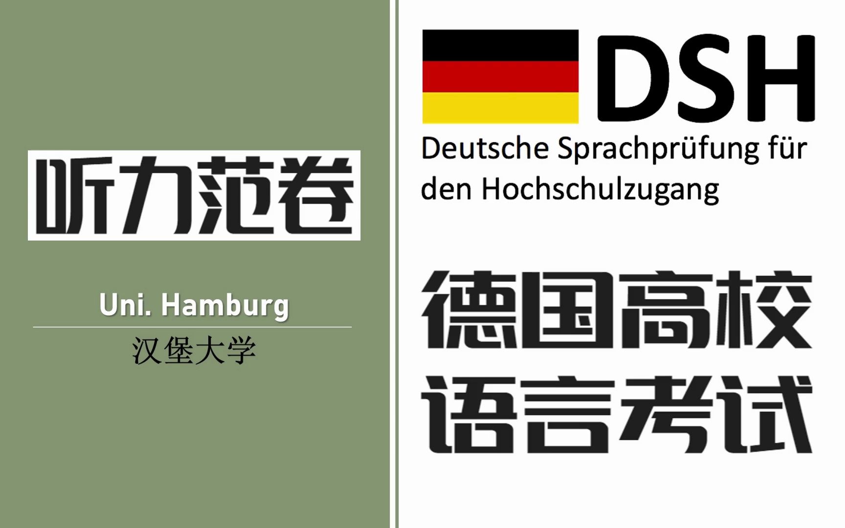 德国高校入学德语考试 ( DSH ) 之九 // 汉堡大学 ( Uni. Hamburg ) 听力范卷 // 转载哔哩哔哩bilibili