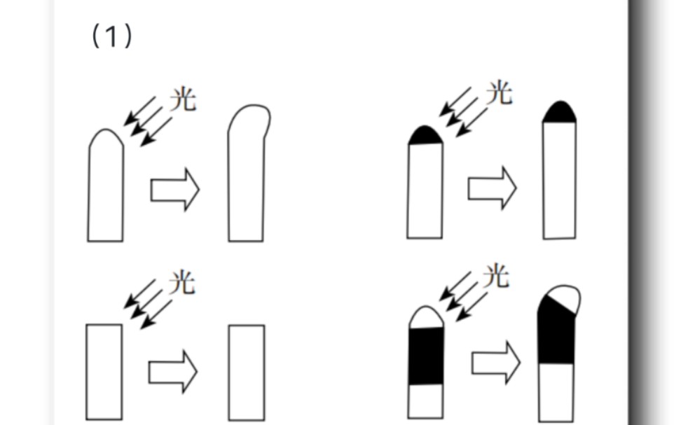【高中生物教资】当你教学生画达尔文发现生长素实验的示意图时 | 20