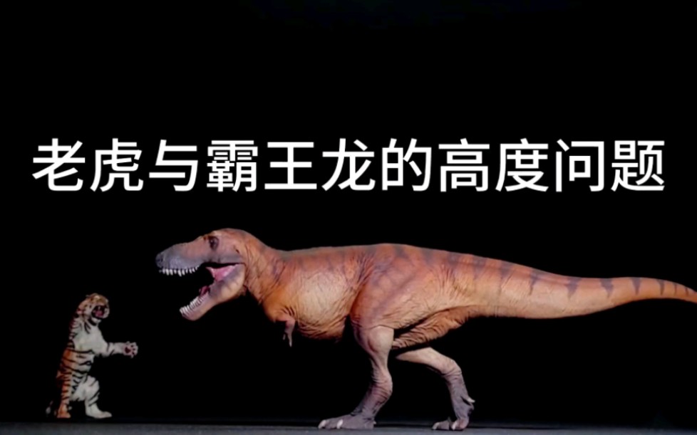 老虎与霸王龙的高度问题