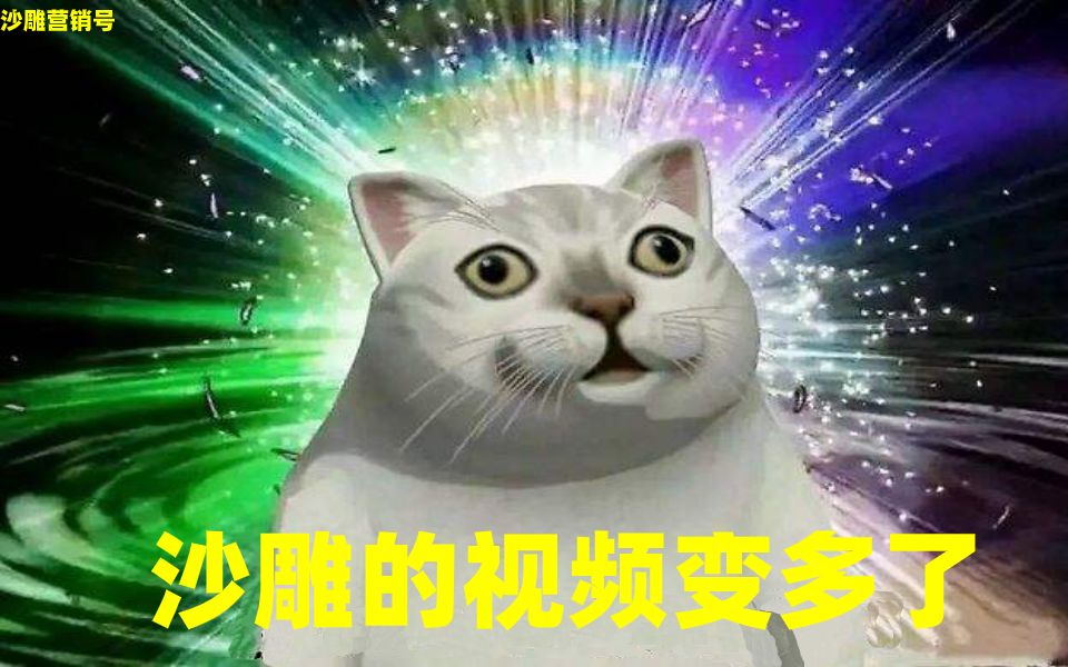 沙雕营销号们请放过我们摩托圈吧哔哩哔哩bilibili