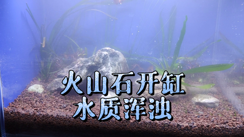 M06majladhkbdm