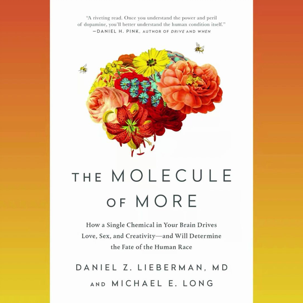 美音】贪婪的多巴胺The Molecule of More 丹尼尔·利伯曼迈克尔·E.朗合著_哔哩哔哩_bilibili