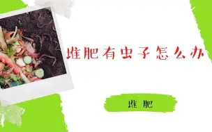 Download Video: 堆肥有虫子怎么办？自家堆肥，后院堆肥适用