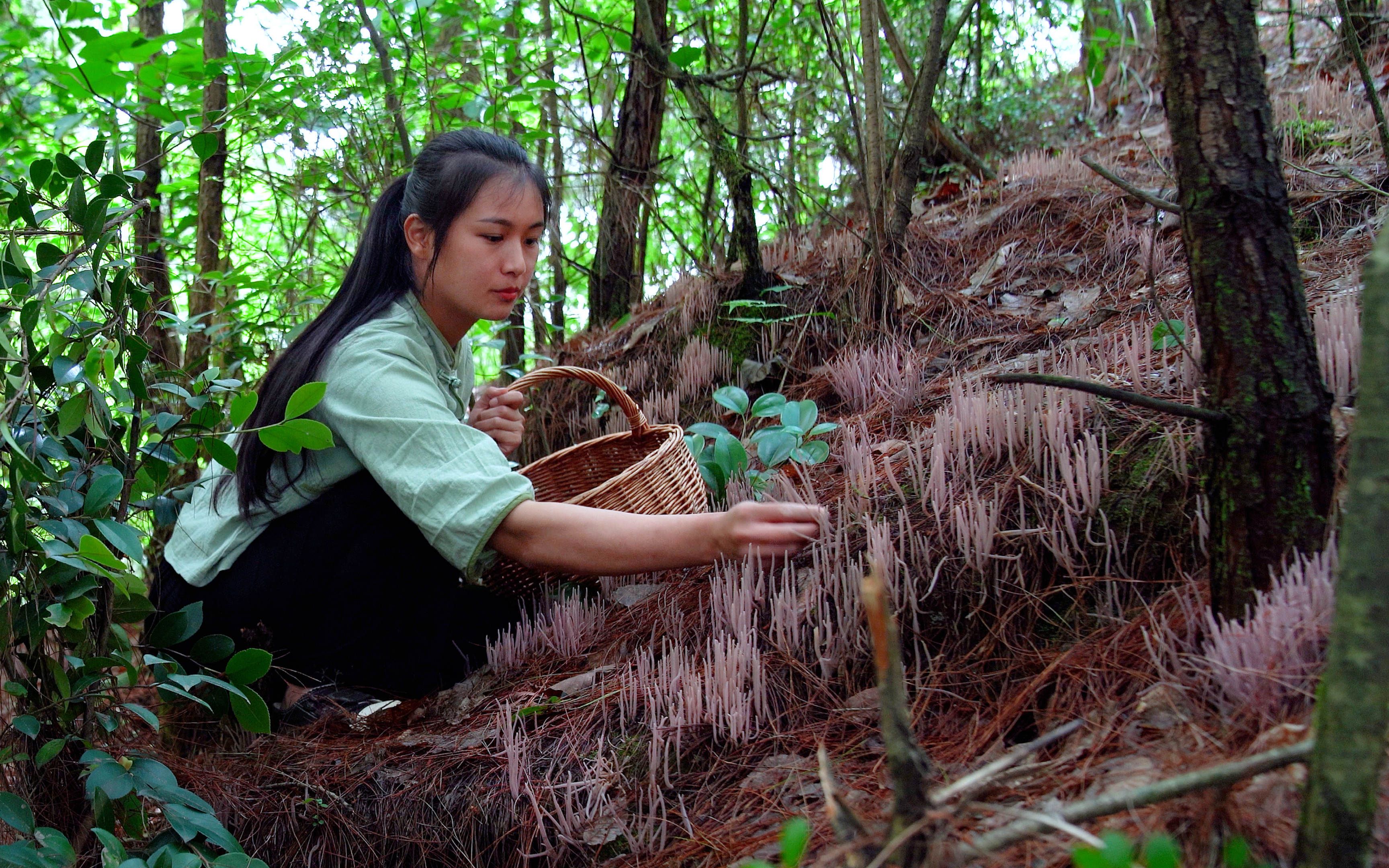 刷子菌:一种长得像蚯蚓的纯野生美食_哔哩哔哩_bilibili