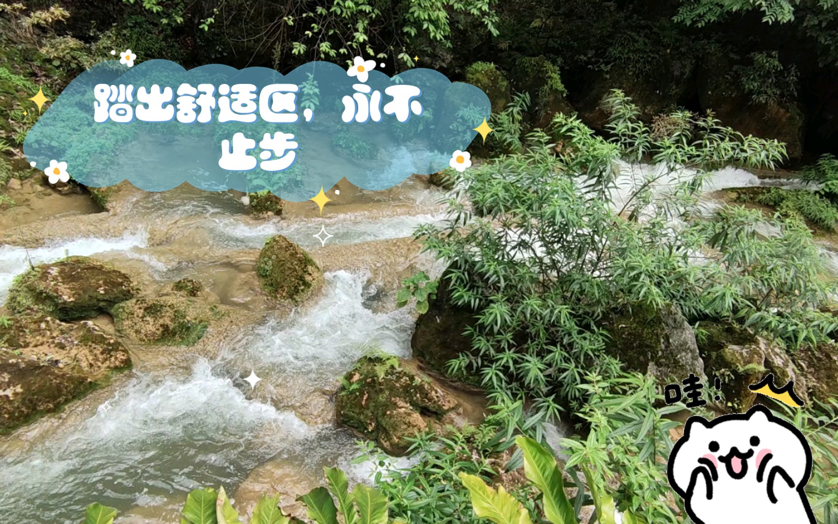 踏出舒适区,永不止步