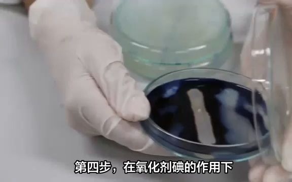 DNA引物是如何合成的?哔哩哔哩bilibili