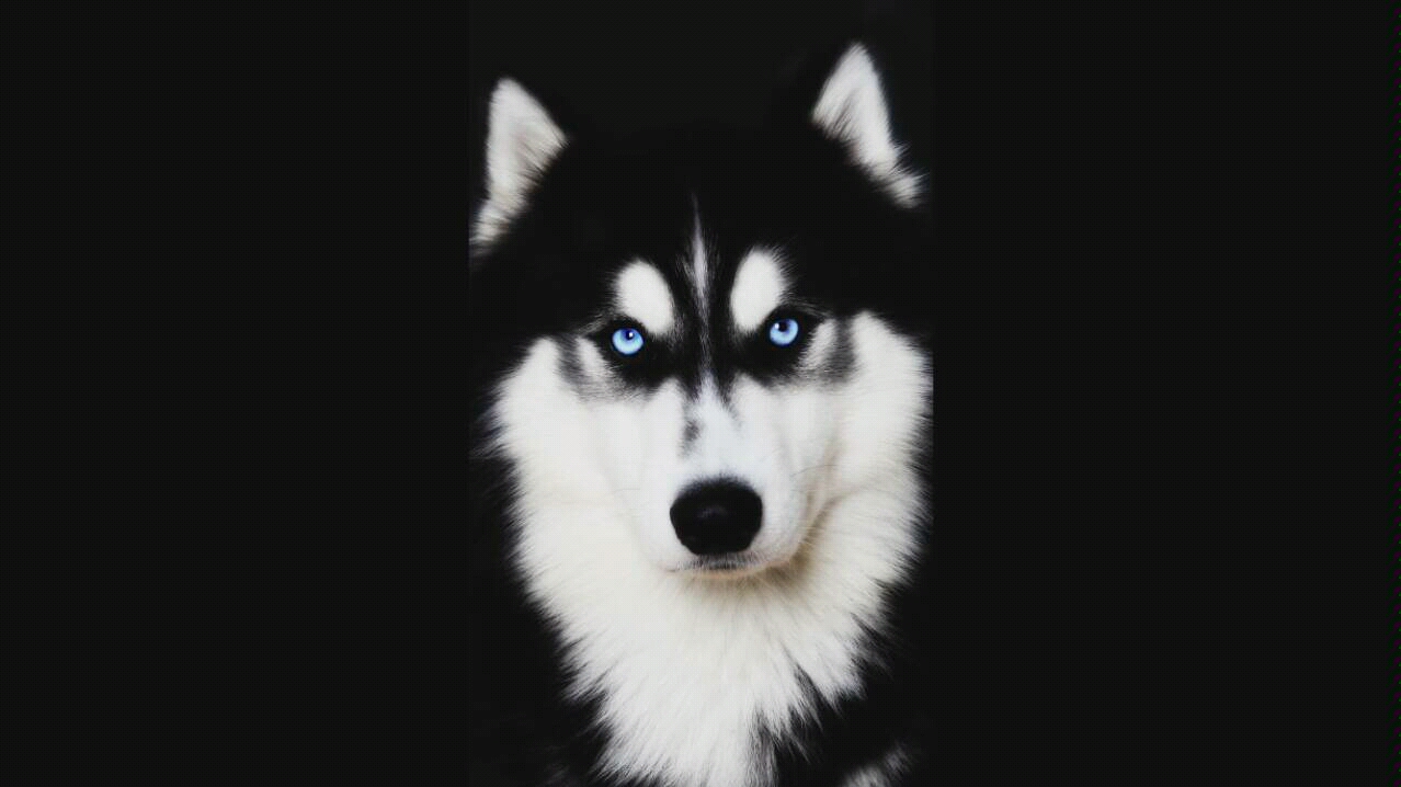 one voice(儿童合唱团)believer (翻唱)