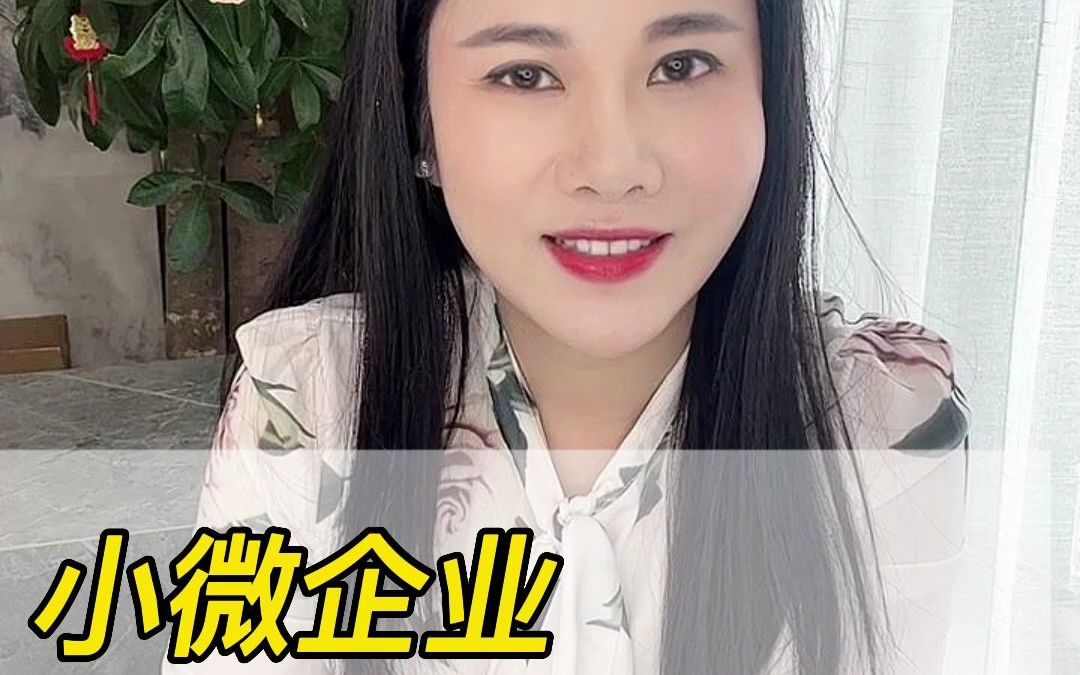 小微企业可以是一般纳税人吗?哔哩哔哩bilibili