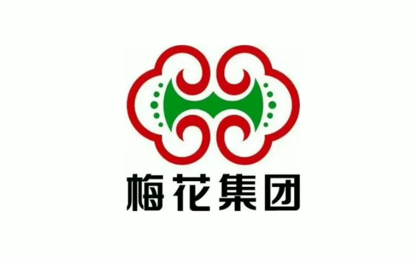 每天了解一家上市公司338:梅花生物哔哩哔哩bilibili